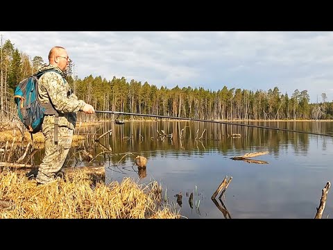 Видео: Рыбалка в Карелии. Первый весенний пролёт. Рыбы нет!