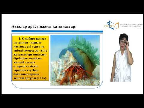 Видео: 4 лекция  Демэкология   популяциялық экология