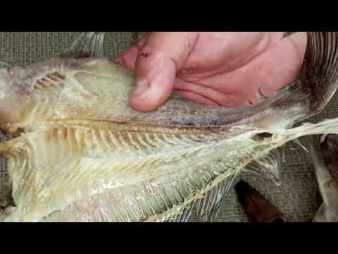 Видео: КАМБАЛА ВЯЛЕНАЯ в шкафу вялочно сушильном 