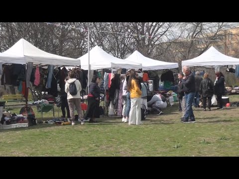 Видео: Файда пазар - гр.Чирпан   23 03 2025