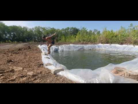 Видео: Накопительный бассейн из пленки 10×8×3 для полива клубники