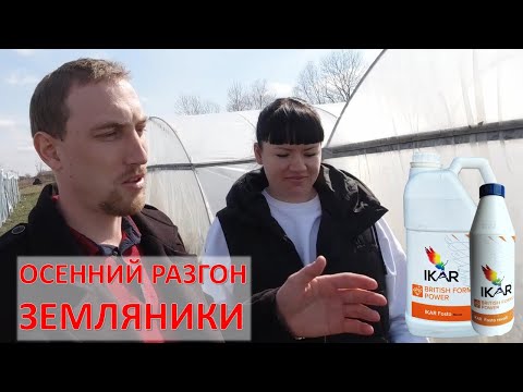 Видео: Как ускорить деление рожков земляники?