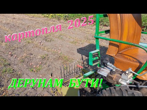 Видео: Копаємо картоплю на другому городі. Відповіді на питання.