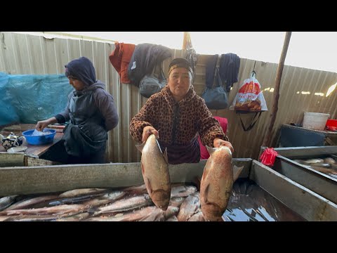 Видео: ХОРАЗМ ХАЗАРАСП БАЛИК БОЗОРИ ЯНГИ НАРХЛАРИ 8-ноябрь 2025￼