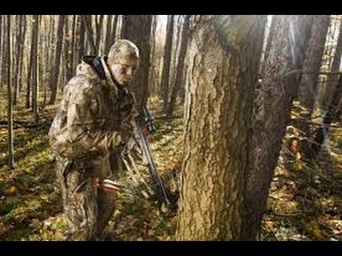 Видео: Охота на кабана с арбалетом МК ХВ52