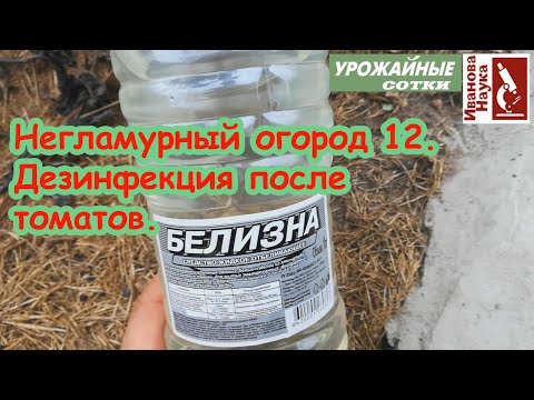 Видео: Негламурный огород-12. Обработка участка после томата, перца и баклажана: как это сделать правильно.