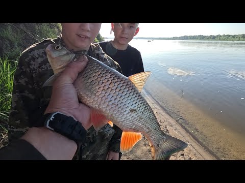 Видео: Я ЛОВЛЮ НА ЖИВЦА, А ПАЦАНЫ ЛОВЯТ НА ДОНКИ ЛЕЩА! Рыбалка на Оке!
