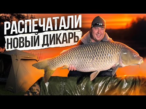 Видео: ОСЕННИЙ КАРПФИШИНГ НА НОВОМ ДИКАРЕ. Рыбалка с подписчиками