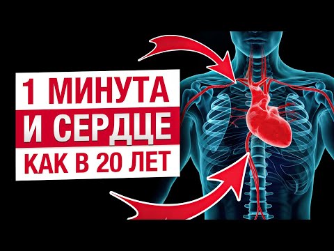 Видео: ЭТО снизит РИСК ИНФАРКТА! / Основные причины и признаки проблем с сердцем и сосудами