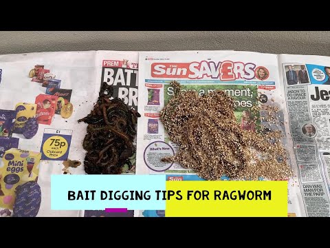 Видео: Советы по копанию приманки для личинок гусениц