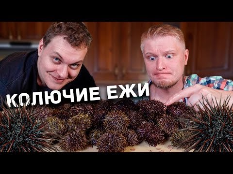 Видео: КОЛЕМ ХОВАНСКОГО ежами! (18+)