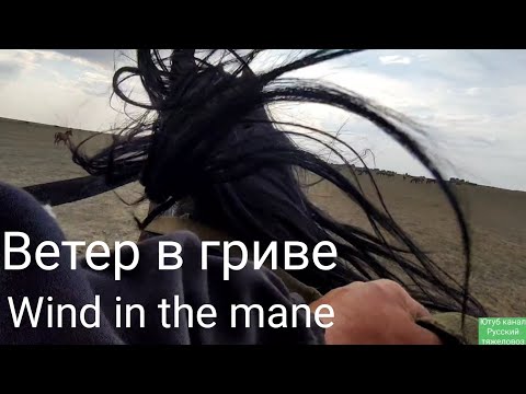 Видео: Погоня на Малыше.| Baby Chase.