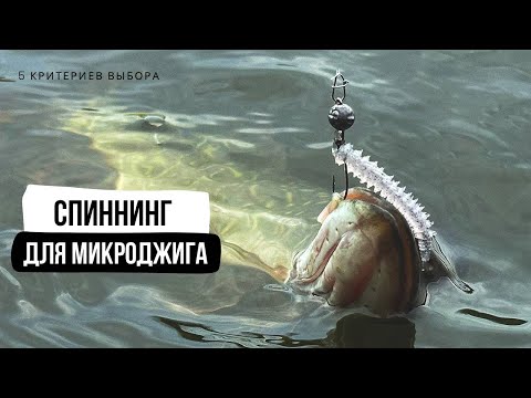 Видео: Основные требования к современному спиннингу для микроджига // 5 критериев выбора