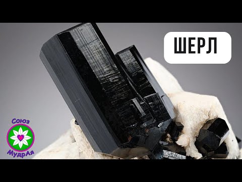 Видео: Шерл