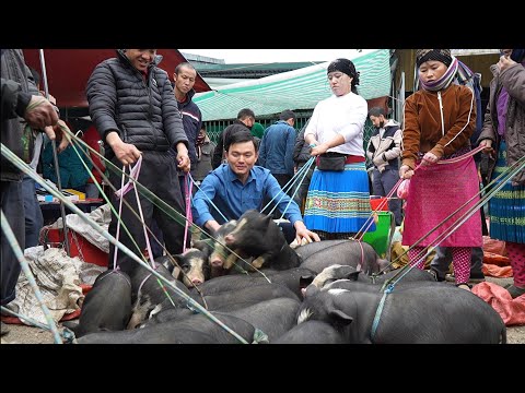 Видео: Роберт продает свиней на горном рынке.  Зеленая лесная жизнь