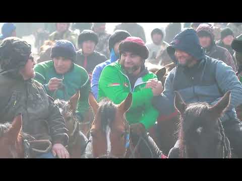 Видео: Улоки Коражингил 31.01.2024 Полный Версия/ Бузкаши Купкари Самандар Кенжаев
