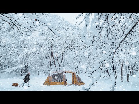 Видео: 70cm Тяжелый снег помешал мне и моей собаке выйти отсюда - тяжелый снежный кемпинг