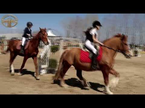 Видео: Тодоровден в конна база, село Кабиле община Тунджа