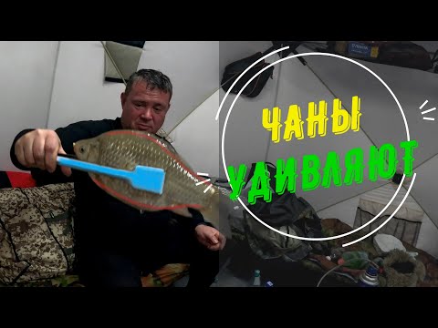 Видео: ОГРОМНЫЙ КАРАСЬ НЕ ДАВАЛ СПАТЬ ВСЮ НОЧЬ! Сменили место и получили неожиданный результат! Рыбалка ЧАН