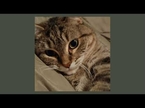 Видео: jerry heil - пошта (speed up)