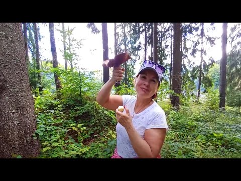 Видео: Закарпатье. Дорога на море. ЗАКАРПАТСКОЕ МОРЕ!