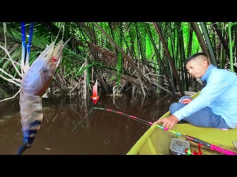 Видео: Он весит в 10 раз больше креветки-монстра. Речная рыбалка