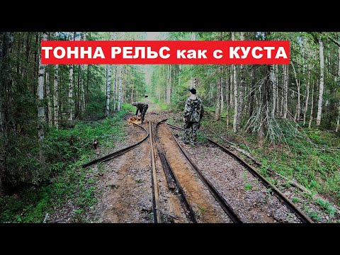 Видео: Застряли в БОЛОТЕ. Андрюха поймал УДАЧУ за хвост. ТОННА РЕЛЬС как с куста.