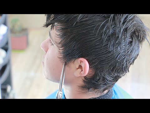Видео: научиться мужской стрижке ножницами (урок прически) #hair #cutting #stylistelnar