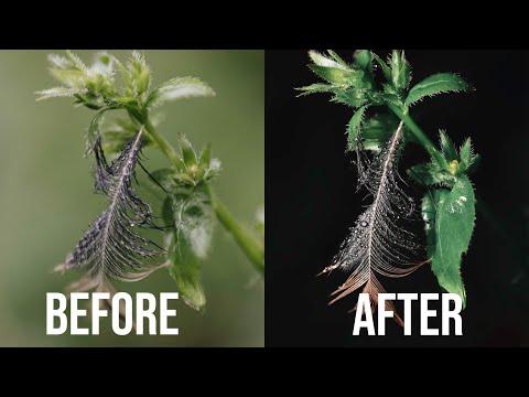 Видео: Макроосвещение: вспышка может ПРЕОБРАЗИТЬ ваши изображения