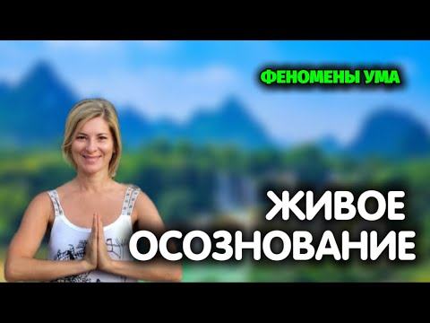 Видео: Сатсанг в Москве, 09.06.2021