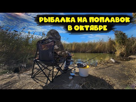 Видео: 🎣 Рыбалка на поплавок в октябре 2025 — Ловля карася, сазана и плотвы! 🎣