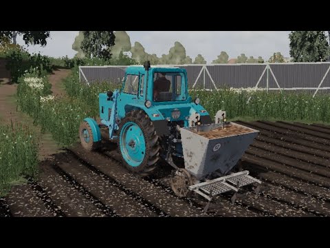 Видео: Посадка картоплі на мтз-80