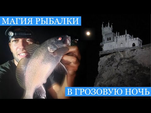 Видео: Тайны рыбалки у ЛАСТОЧКИНОГО ГНЕЗДА! - Ловим горбылей и барабульку, стреляем ласкиря и ищем зубарика