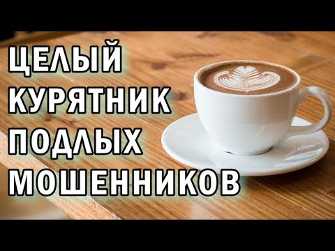 Видео: Курятник из мошенников АНТИМОШЕННИКИ фрод-рулетка