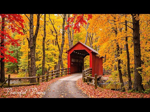 Видео: Осенняя безмятежность 🍁 Успокаивающая фортепианная музыка для релаксации и душевного спокойствия