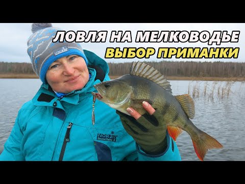 Видео: Выбор приманки для ловли на мелководье