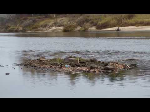 Видео: Сплав по Ветлуге.