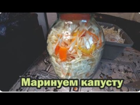 Видео: Маринованная капуста-трехдневка
