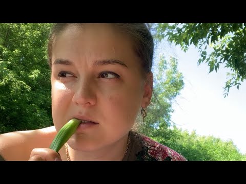 Видео: МУКБАНГ