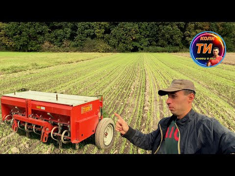 Видео: Що натворила фінська сівалка Tume🔥огляд посівів🌾плюси та мінуси👍