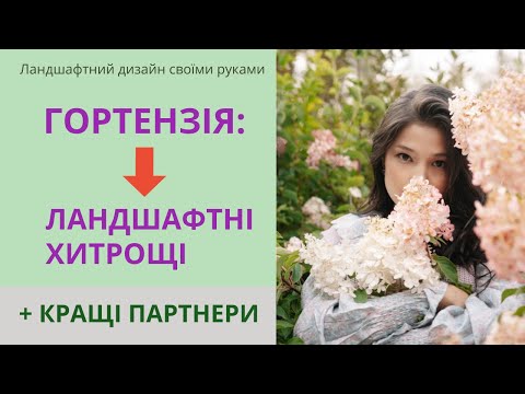 Видео: Гортензия - виды, лучшие партнеры, выбор эффектного места