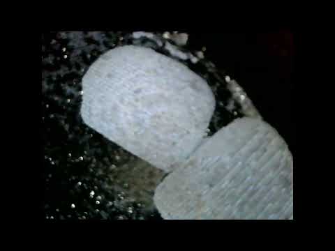 Видео: Катализаторы Kia и Hyundai не разрушаются!