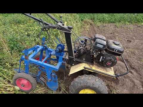Видео: Копаем  картофель ,  мотоблоком " Целина "  с  навесной  картофелекопалкой .