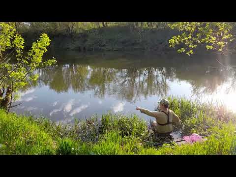 Видео: Вторая часть. Дикий клёв Безумной рыбы на реке.Рыбалка весной на поплавок!