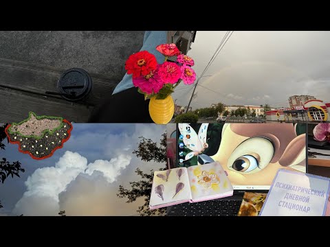Видео: влог: последняя неделя лета