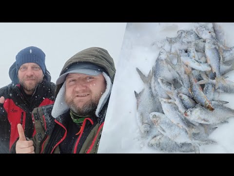 Видео: Вазуза! Рыбалка на сломе погоды!