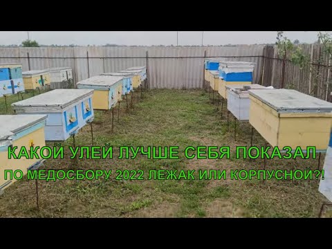 Видео: ЛЕЖАКИ И КОРПУСНЫЕ УЛЬЯ какой улей лучше по МЁДУ И РАЗВИТИЮ☝️🐝🍯