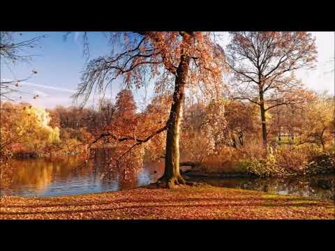 Видео: 21. Роберт  Адамс. Насколько сильно вы хотите пробудиться