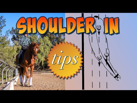 Видео: Основы техники удара плечом — все, что вам нужно знать!