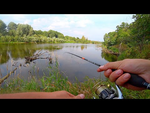 Видео: СЕРДЦЕ ЗАМЕРЛО когда она ПОТЯНУЛА спиннинг и потащила в коряги! Рыбалка на щуку! Ловля на джиг 2022!